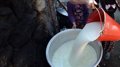 Turkey collects 900,000+ tons milk in May