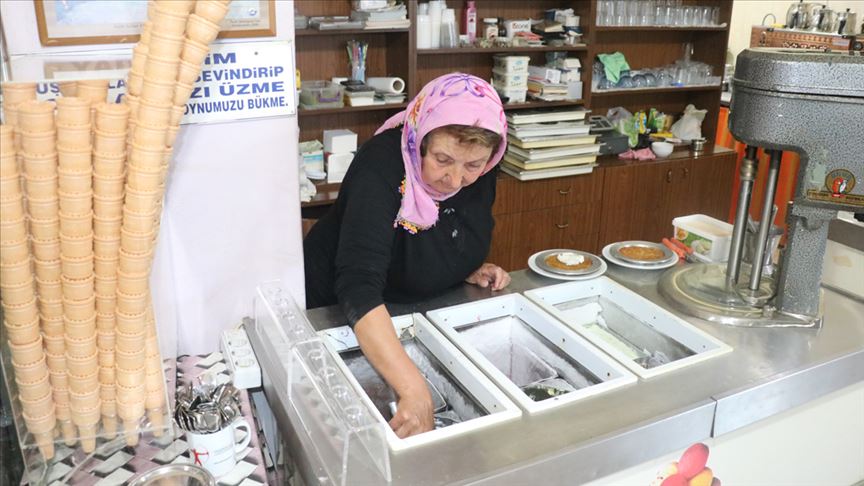 Köylerine dönüp dondurmacı oldular