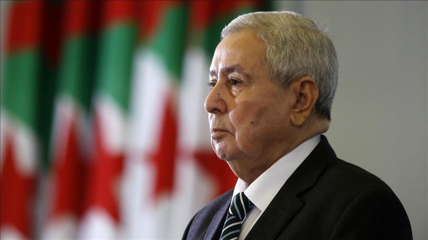 رئيس الجزائر للاعبي المنتخب: كنتم محاربين بكل معنى الكلمة