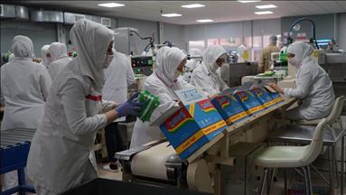 Sulitnya membuat orang Turki suka mi instan
