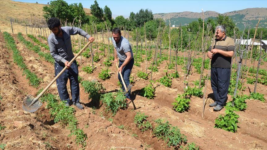 Turkey: Villagers return home 26 years after PKK ordeal