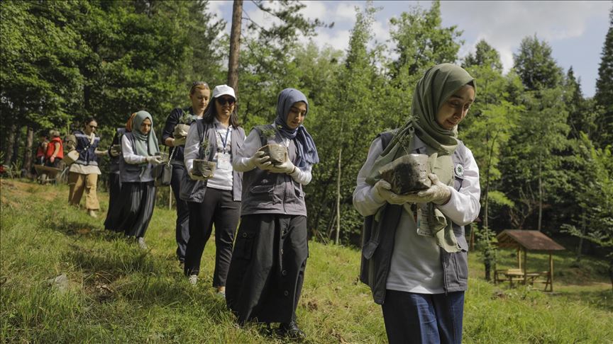 Sarajevo: 251 jeunes arbres plantés en mémoire des 251 martyrs du 15 juillet 2016