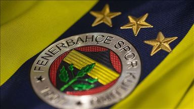 Fenerbahce seeking new football trainer