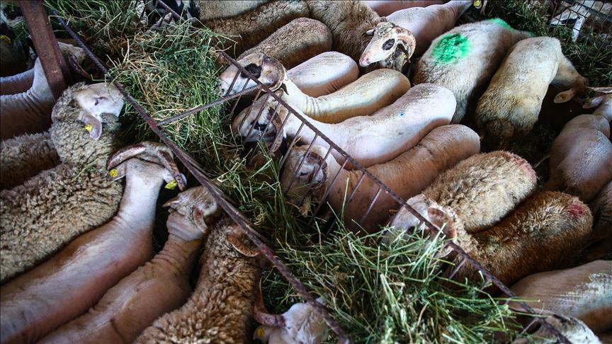 Colombia invertirá USD 60 millones para promover producción agropecuaria sostenible