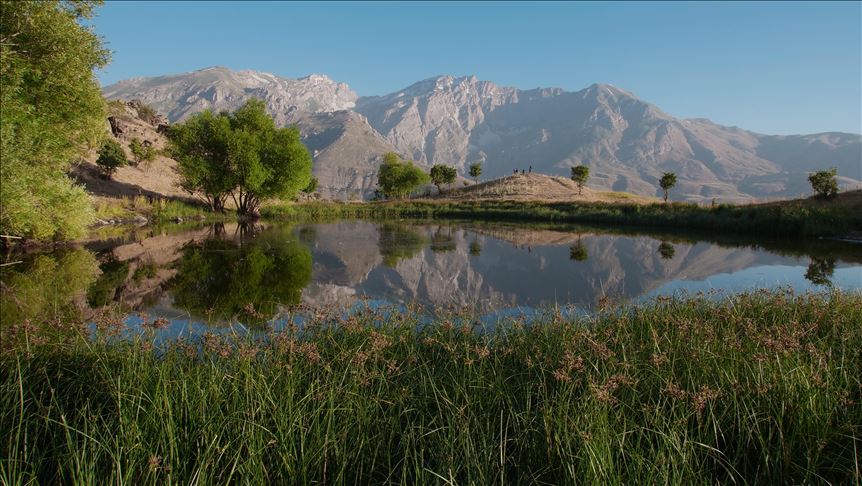 جوانی دیمەنی گۆمی فێڵاو
