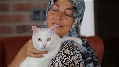 Felçli kedi, Hülya öğretmen sayesinde hayata tutundu