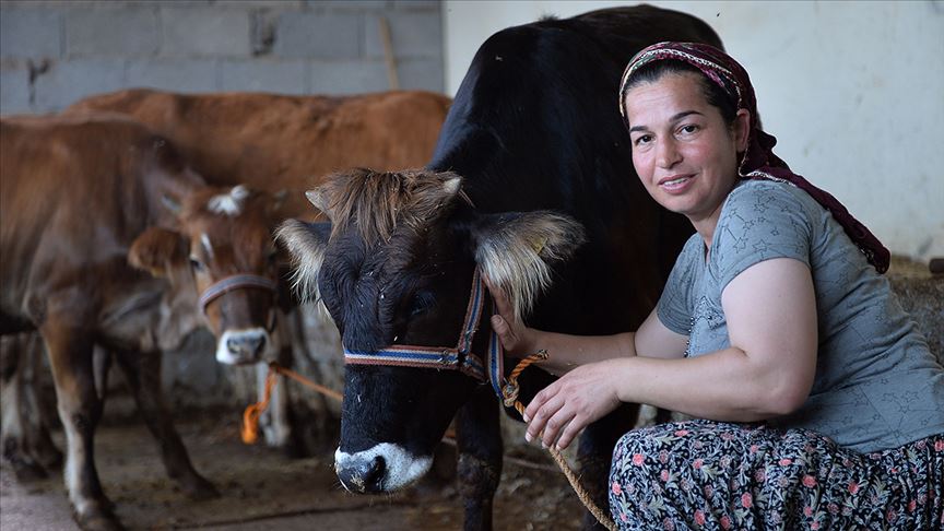 Şehirde ev temizliğine gidiyordu, besici oldu