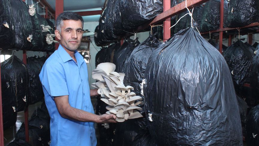 İran sınırındaki köyüne dönüp üretici oldu