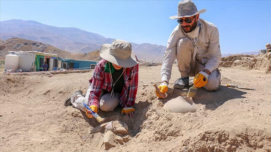 Burial site of Urartian nobles revealed in E. Turkey