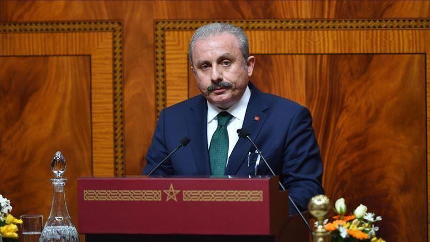 رئيس البرلمان التركي: غولن الإرهابية تهدد كافة البلدان التي تنشط فيها    