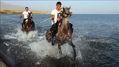 Hespên pêşbirkan li devê Gola Wanê dide bezîn