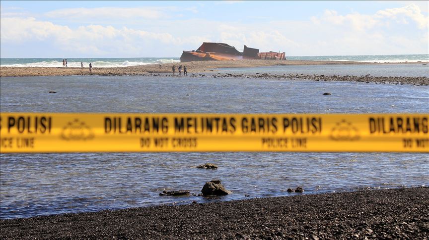 7800 Ikan Air Laut Karawang HD