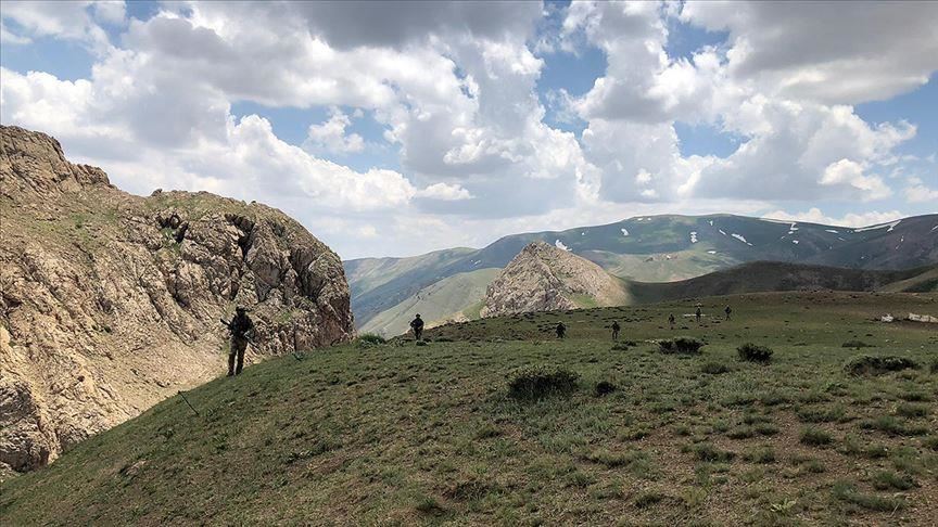 Wanted PKK terrorist surrenders in eastern Turkey