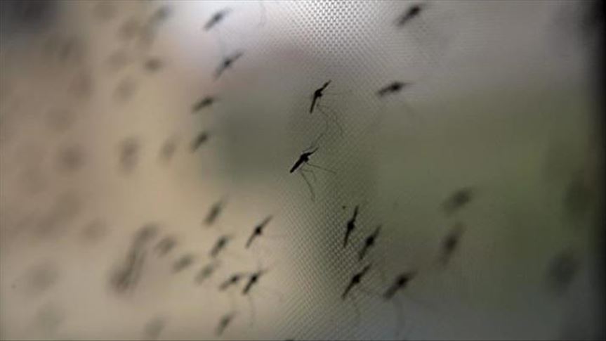 Bangladesh: Nearly 23,000 people infected by dengue