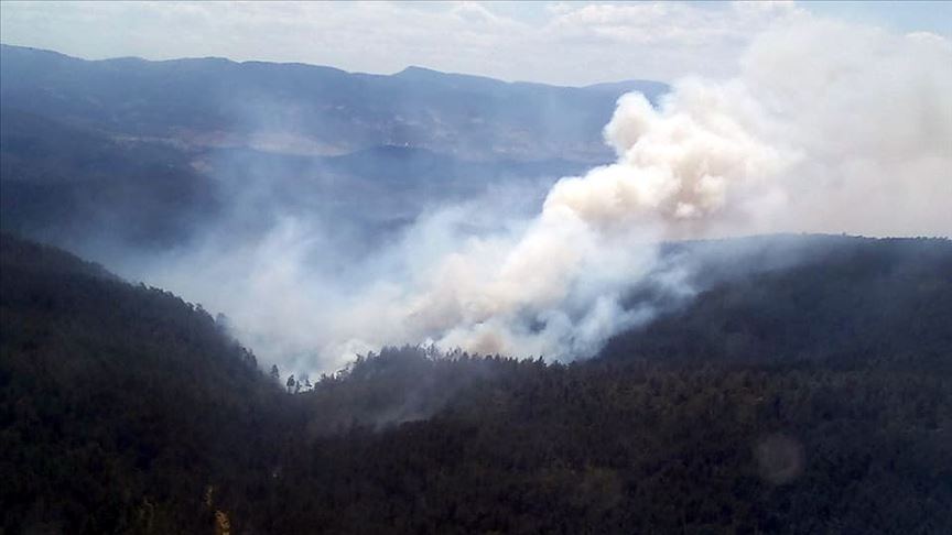 Bursa'da orman yangını