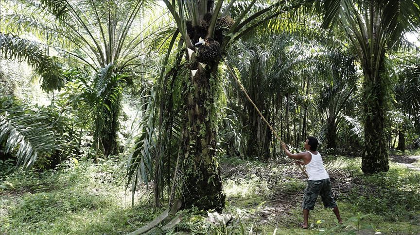 Uni Eropa harap pertemuan JokowiMahathir temukan solusi