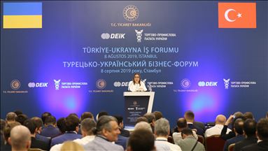Турция и Украина нацелены на товарооборот в $20 млрд
