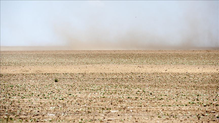 Zimbabweans grapple with starvation amid drought