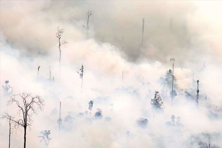 Kebakaran hutan Gunung Ciremai belum padam