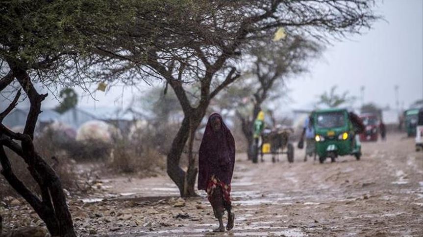 Zimbabue lidia con el hambre en medio de la sequía
