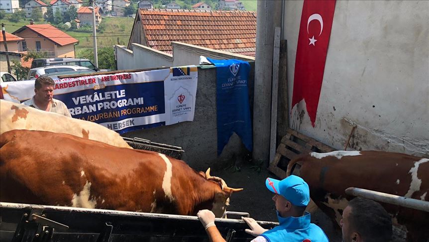 Turska Fondacija Diyanet podijelit će kurbansko meso socijalno ugroženima u BiH i Srbiji