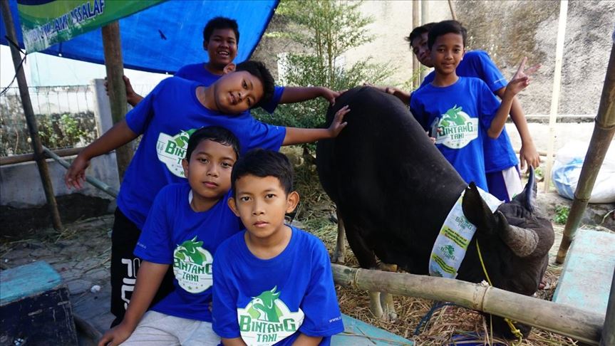 Anak-anak berkurban sapi dengan dana hasil menabung setahun