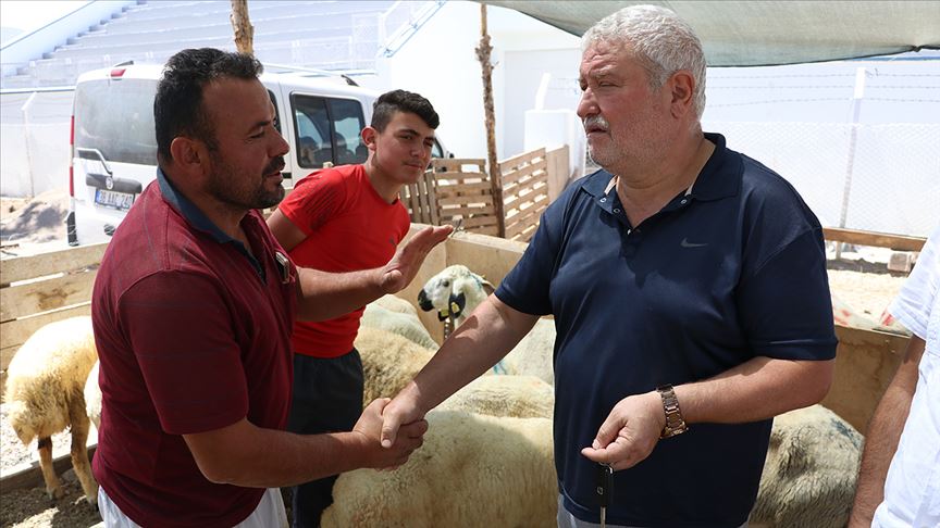 Kurban pazarlıkları devam ediyor