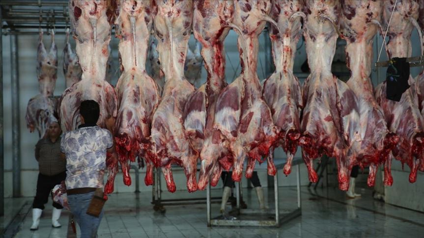 ههرێمی كوردستان.. قوربانیکردنی ژمارەیەک ئاژەڵ لەلایەن مانگی سووری تورکییەوە