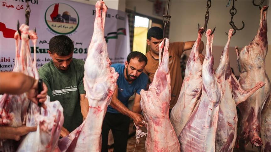 Otoritas keagamaan Turki salurkan 250 sapi kurban untuk Indonesia