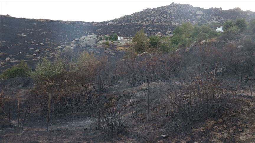 Marmara Adası'ndaki orman yangınına ilişkin soruşturmada yeni gözaltı
