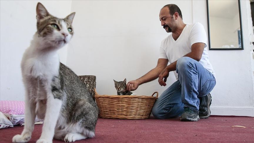 Ankara: Radionicu prilagodio mačkama koje očekuju mladunce