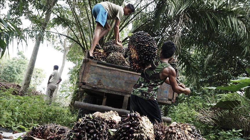 Indonesia kirim nota keberatan ke WTO soal sawit