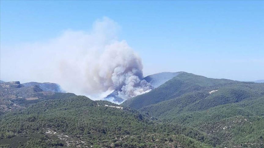 Li Muglayê agir bi daristanê ket