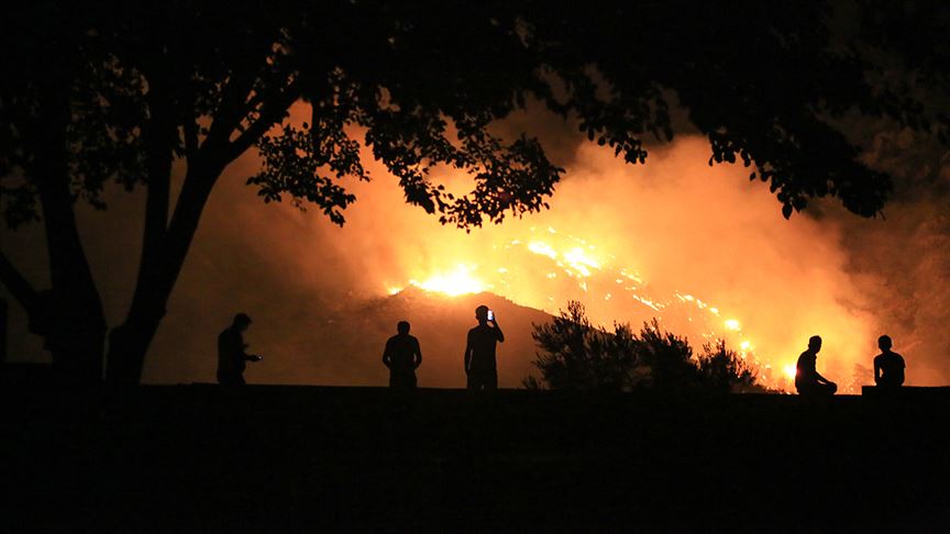Milas'taki orman yangınını söndürme çalışmaları devam ediyor