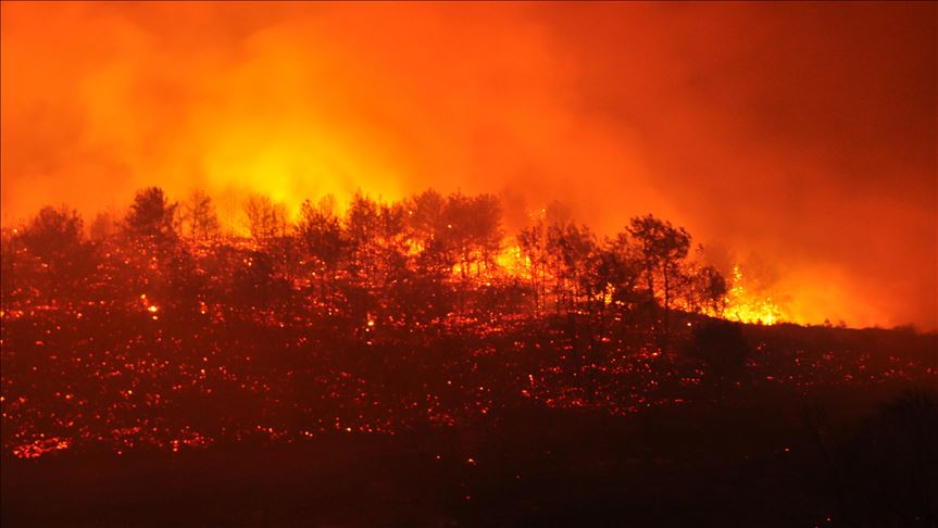 Kebakaran hutan terjadi di barat dan barat daya Turki