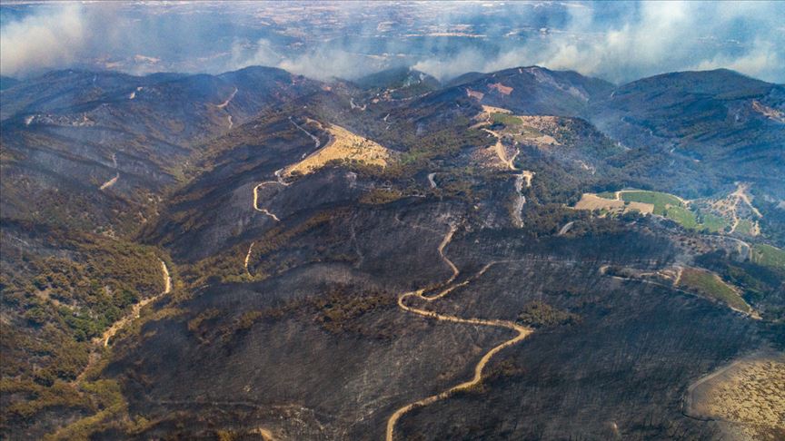 İzmir'de yanan ormanlık alanlar havadan görüntülendi
