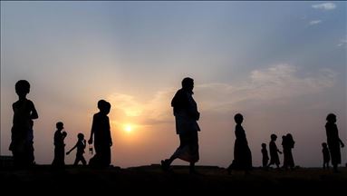 Rohingya group sounds alarm on ‘premature’ repatriation