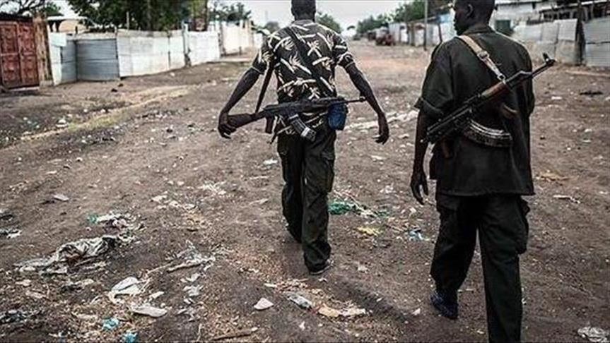 حركة مسلحة بدارفور تطالب بإشراك دول الجوار بمبادرة سلام السودان