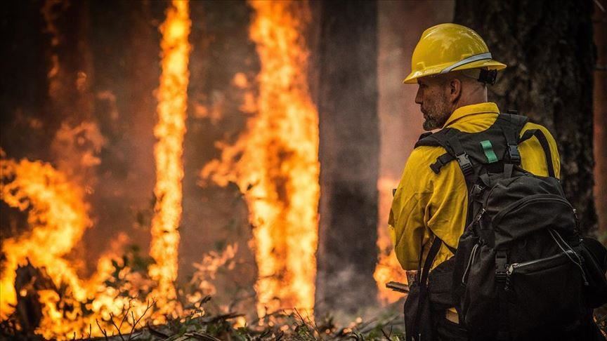 Mbi 72 mijë zjarre në pyjet e Amazonit që nga fillimi i vitit