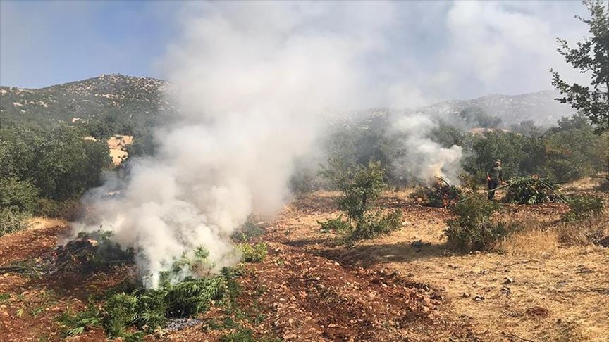 Police seize large marijuana cache in SE Turkey
