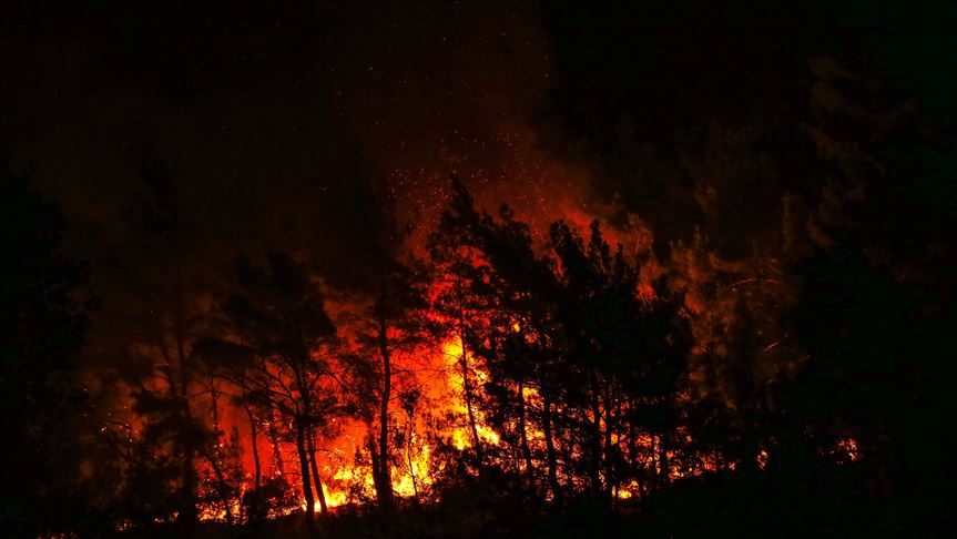 Burundi: 50  hectares dévastés par le feu dans le sud 