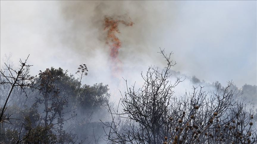 آتش‌سوزی گسترده در جنگل‌های قره‌داغ ایران