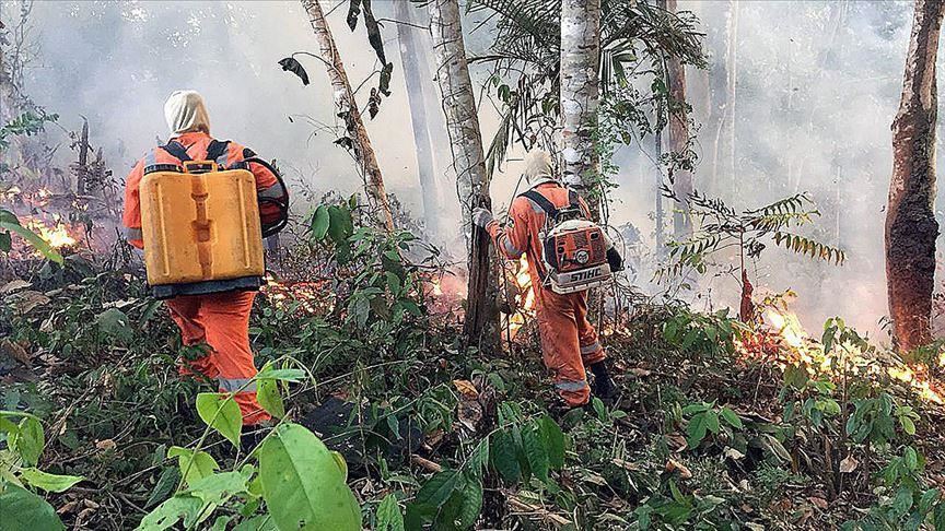Brazil France Spar Over Amazon Rainforest Fires