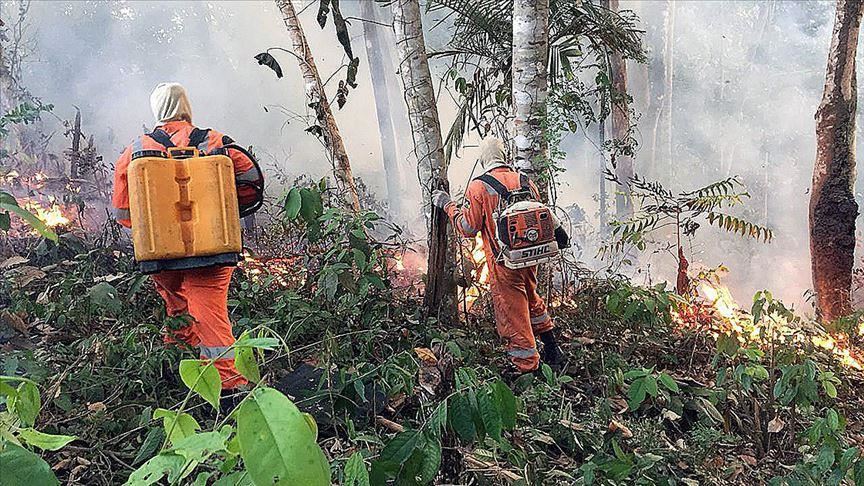 Brazil, France spar over Amazon rainforest fires