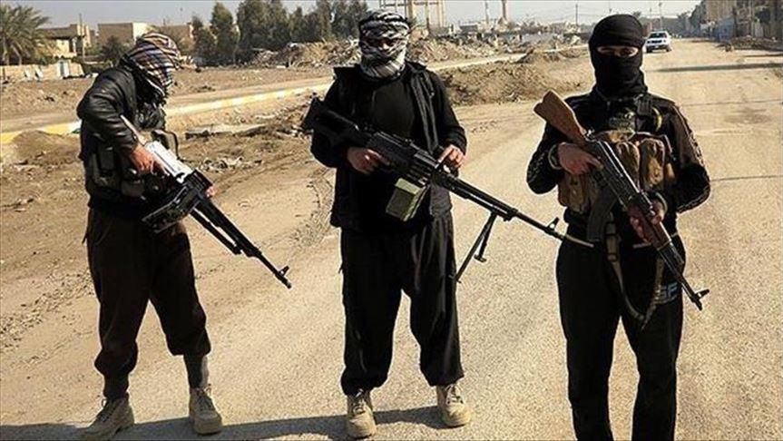 طالبان عضو شورای استانی سمنگان افغانستان را به قتل رساند 