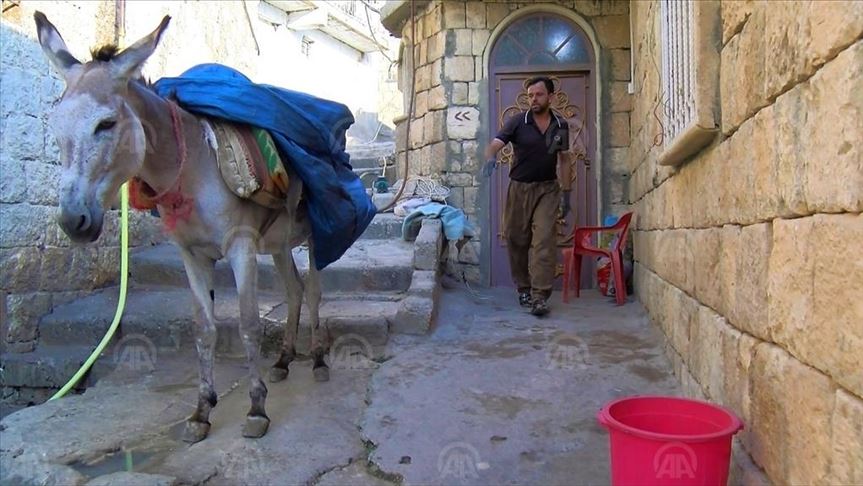 ئاکرێ.. بەکارهێنانی گوێدرێژ بۆ کۆکردنەوەی زبڵ و خاشاک