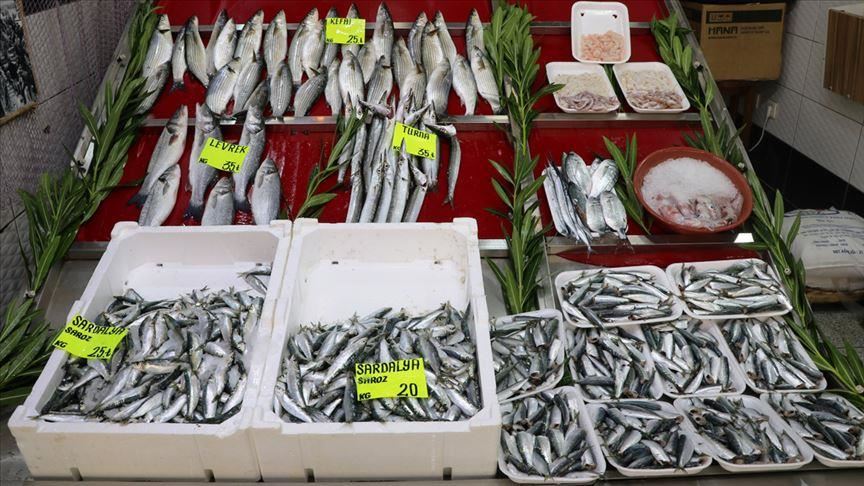Turkish fishermen hopeful for upcoming season
