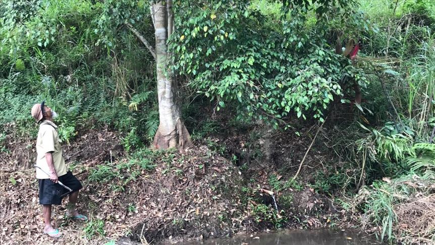 Mbah Sadiman, penanam belasan ribu pohon di Wonogiri terima penghargaan