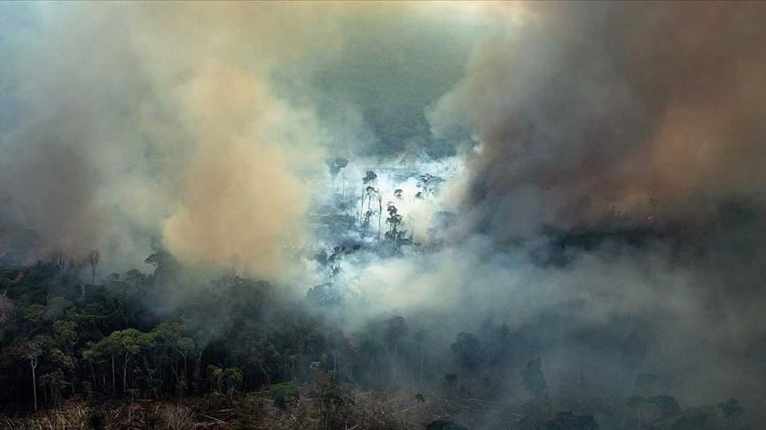 Fires indicator of Bolsonaro's 'toxic policy' in Amazon