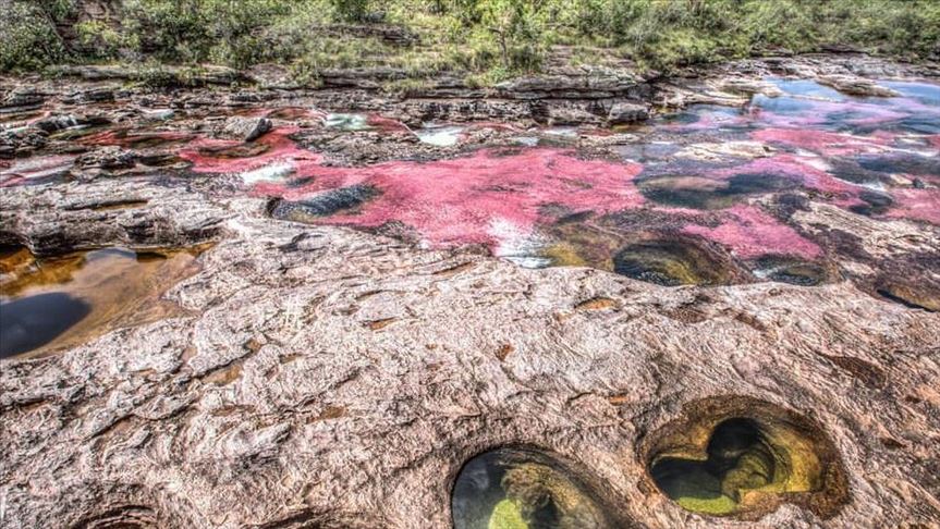 Municipio En Colombia Donde Esta Cano Cristales Se Certifica